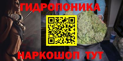 стаф Нарткала
