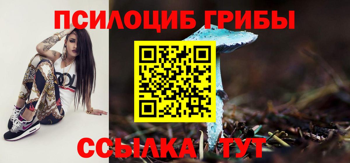 Галлюциногенные грибы мухоморы Электросталь